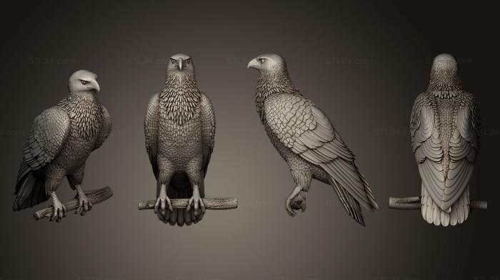 Bird figurines (hawk, STKB_0134) 3D models for cnc